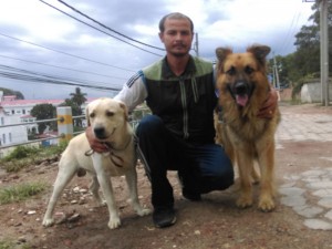 Dog Training Nepal